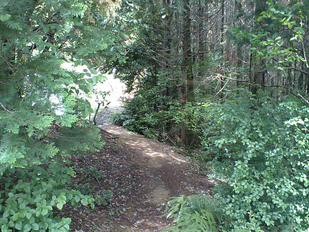 c0117028_1263371.jpg