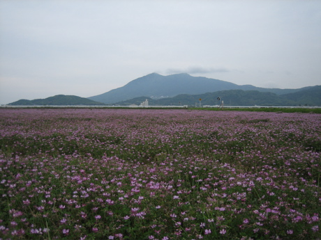 レンゲ畑 と木の時計展 9_b0100229_21142050.jpg