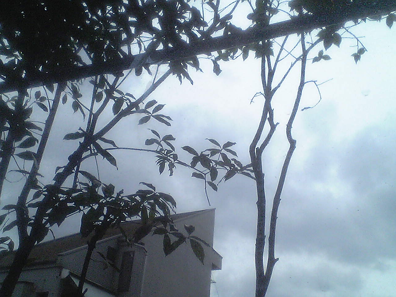 c0152037_15304064.jpg