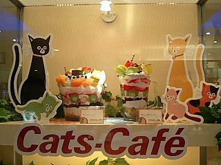 Cats-Cafe_d0152937_2004439.jpg