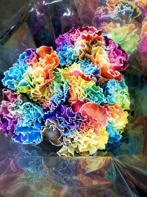 カラフル カーネーション Masako S Flower Design Japan