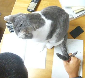 朝から_f0002743_8331990.jpg