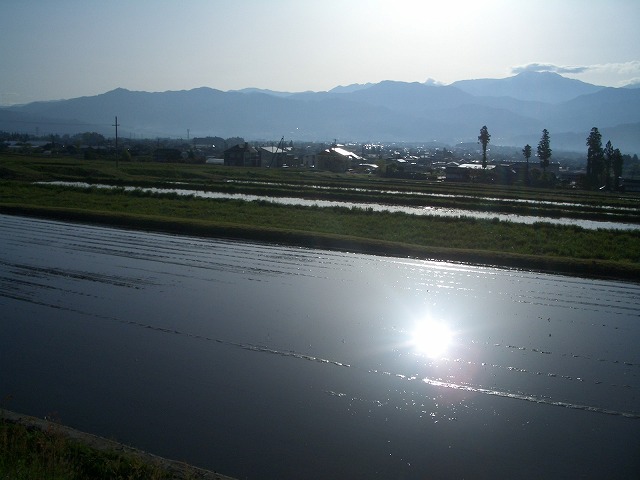 b0127144_05529.jpg