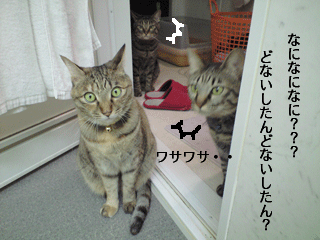 f0116546_13341954.gif