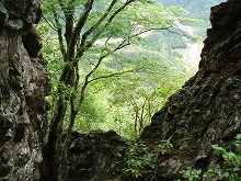 d0048350_1745625.jpg