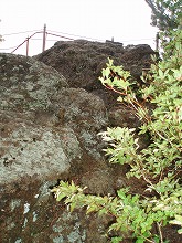 d0048350_17465251.jpg