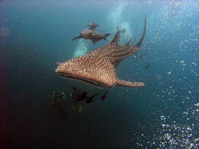 f0085850_23311619.jpg