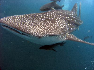 f0085850_23314947.jpg