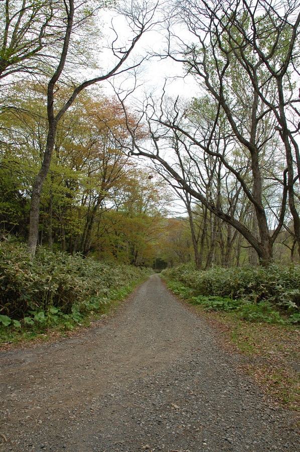 f0114954_11172139.jpg