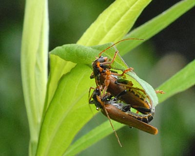 奈良県　飛鳥散策_e0035757_2225121.jpg