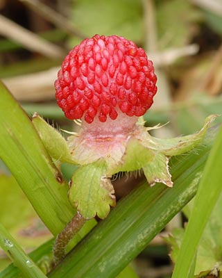 奈良県　飛鳥散策_e0035757_2231527.jpg