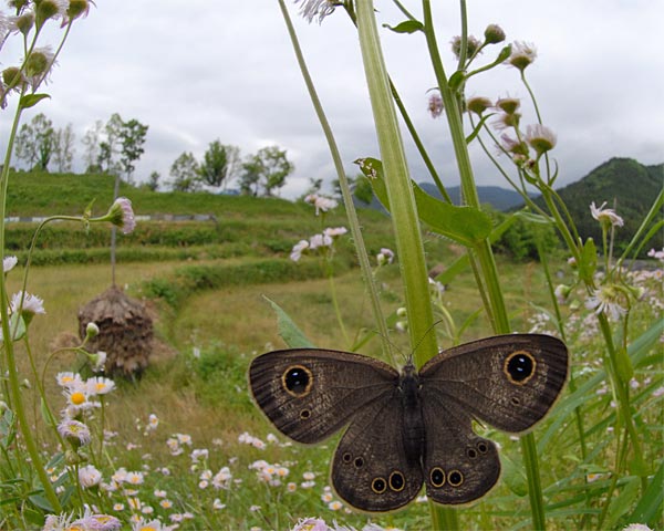 奈良県　飛鳥散策_e0035757_2234628.jpg