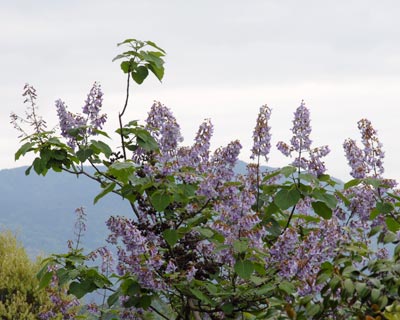 e0035757_225582.jpg