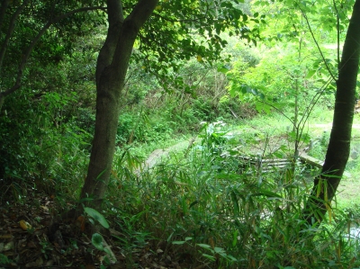 c0108460_14571690.jpg
