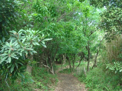 c0108460_14592755.jpg