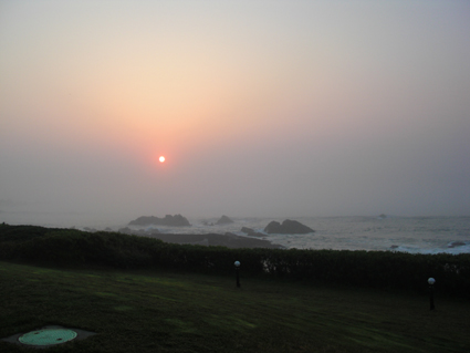 e0068460_129583.jpg