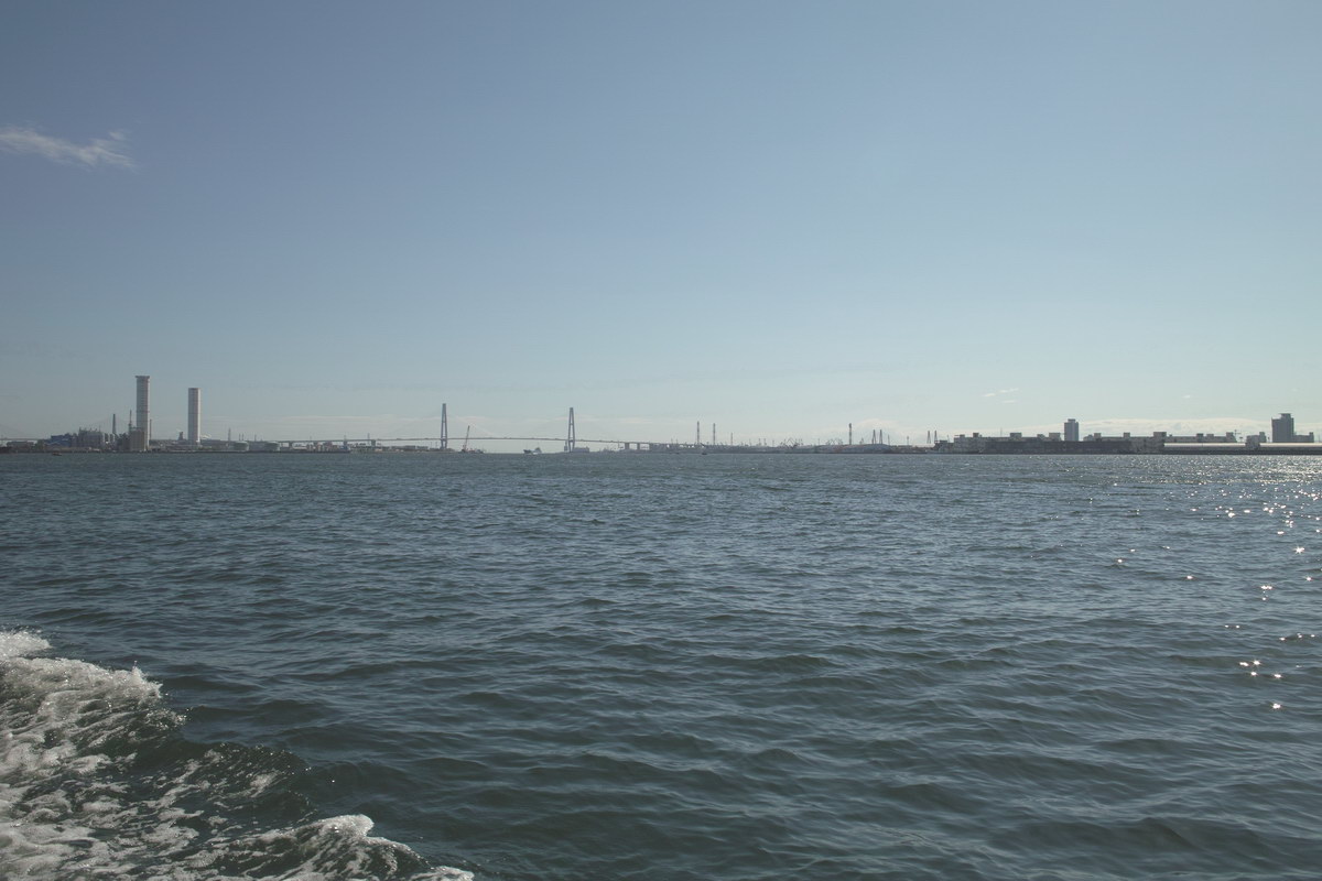 c0084268_813456.jpg