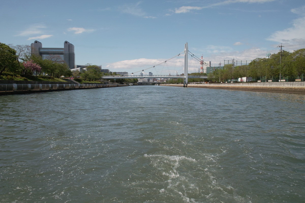 c0084268_835329.jpg