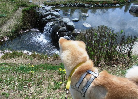 f0047870_025552.jpg