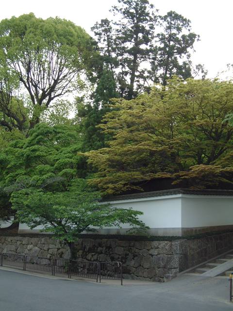 青葉が誘う 新緑の京都!散歩編①_f0029571_041984.jpg