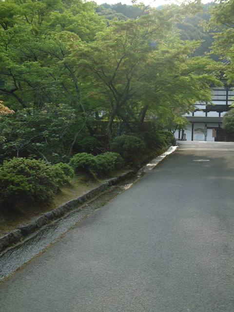 青葉が誘う 新緑の京都!散歩編①_f0029571_085090.jpg