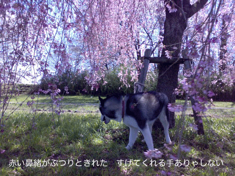 d0087675_0314973.gif