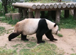 f0084478_10923.jpg