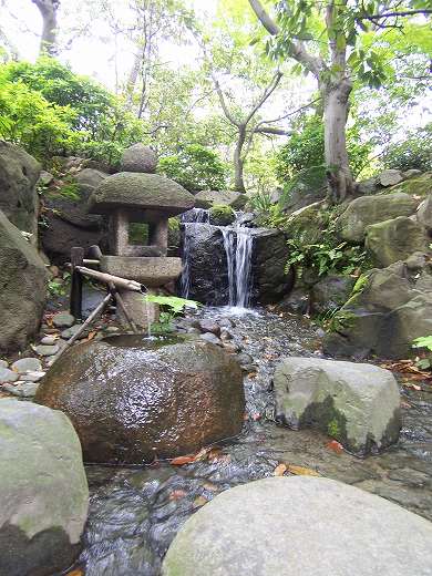 庭園講座9 相楽園_e0042581_14554857.jpg