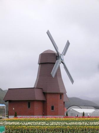 d0086888_13739.jpg