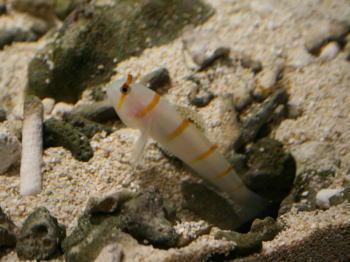 b0115497_5372726.jpg