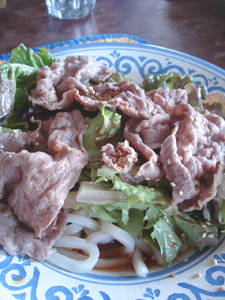 山の食卓和食編~牛肉のせサラダうどん_f0106597_17343980.jpg