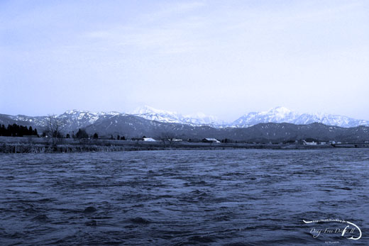 f0085599_21144478.jpg