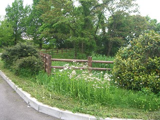 おにごっこクラブが始まりました♪_d0027501_21101951.jpg