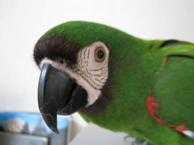 d0081210_13223815.jpg
