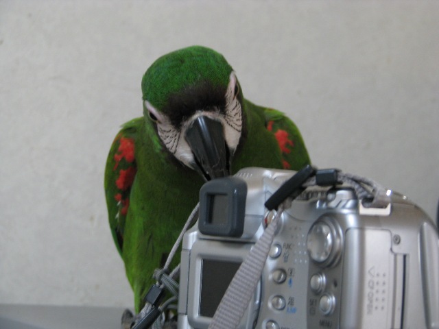 d0081210_1323244.jpg