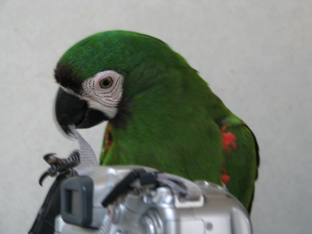 d0081210_1323431.jpg