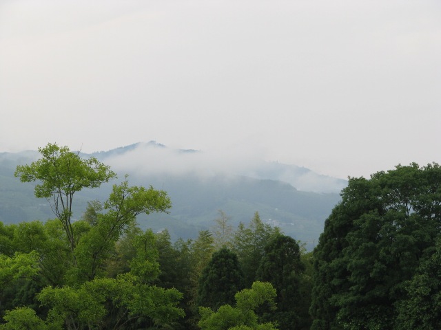 d0081210_132598.jpg