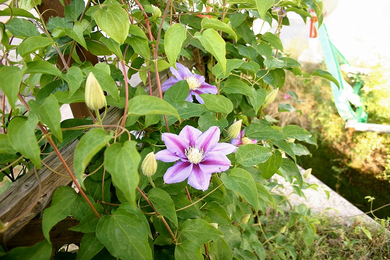 f0011412_16542937.jpg