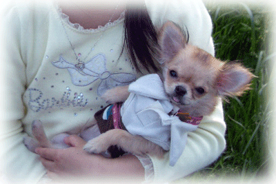 b0078030_23242411.gif