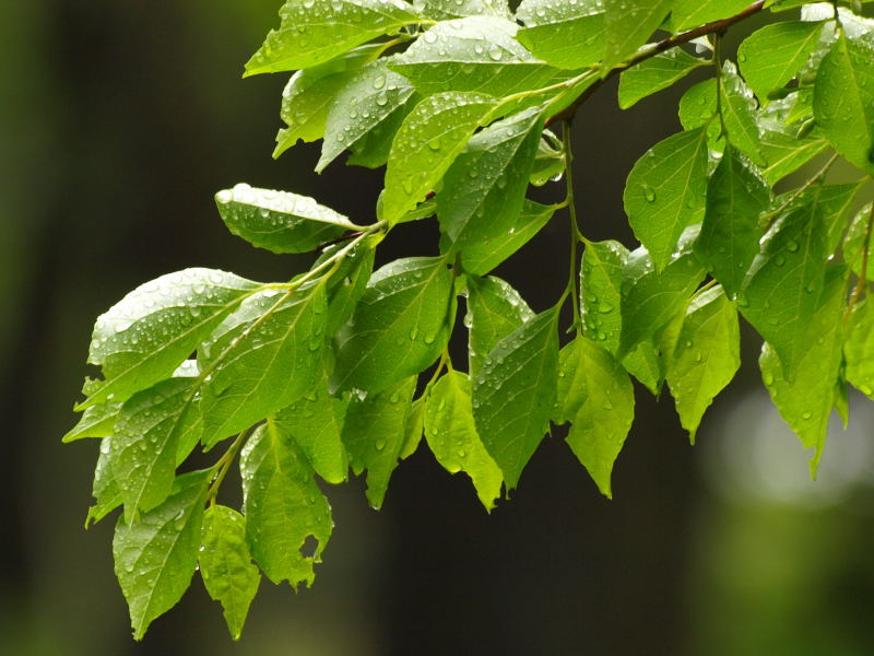 f0032335_17185419.jpg