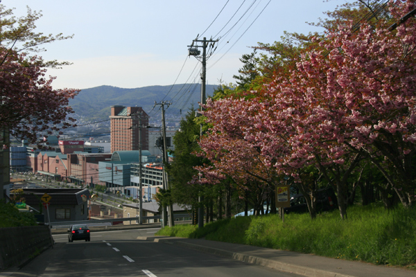 朝里からの帰り道_f0130737_22502635.jpg