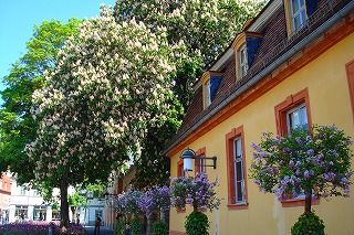 c0153740_18372167.jpg