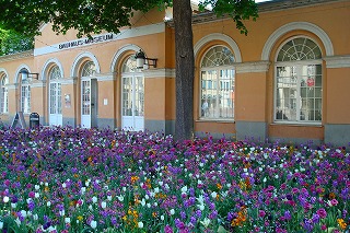 c0153740_18394172.jpg