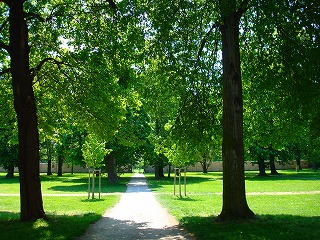 c0153740_192388.jpg
