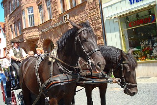 c0153740_4454888.jpg