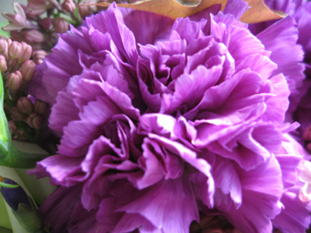 e0110940_2226165.jpg