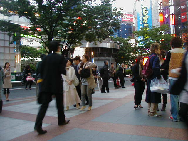 今日も寒くて小雨模様_e0015250_20145457.jpg