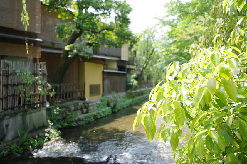 f0152550_21354491.jpg