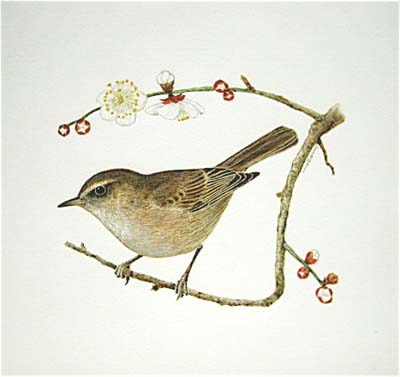 自然画作品 陶板絵原画 メジロ ウグイス スケッチ感察ノート Nature Journal