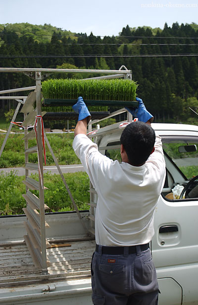 田植え　その２_c0145453_749234.jpg